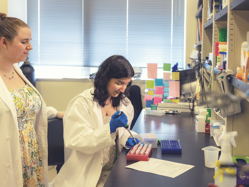 One person at a desk in a laboratory using a pipette while another person looks on
