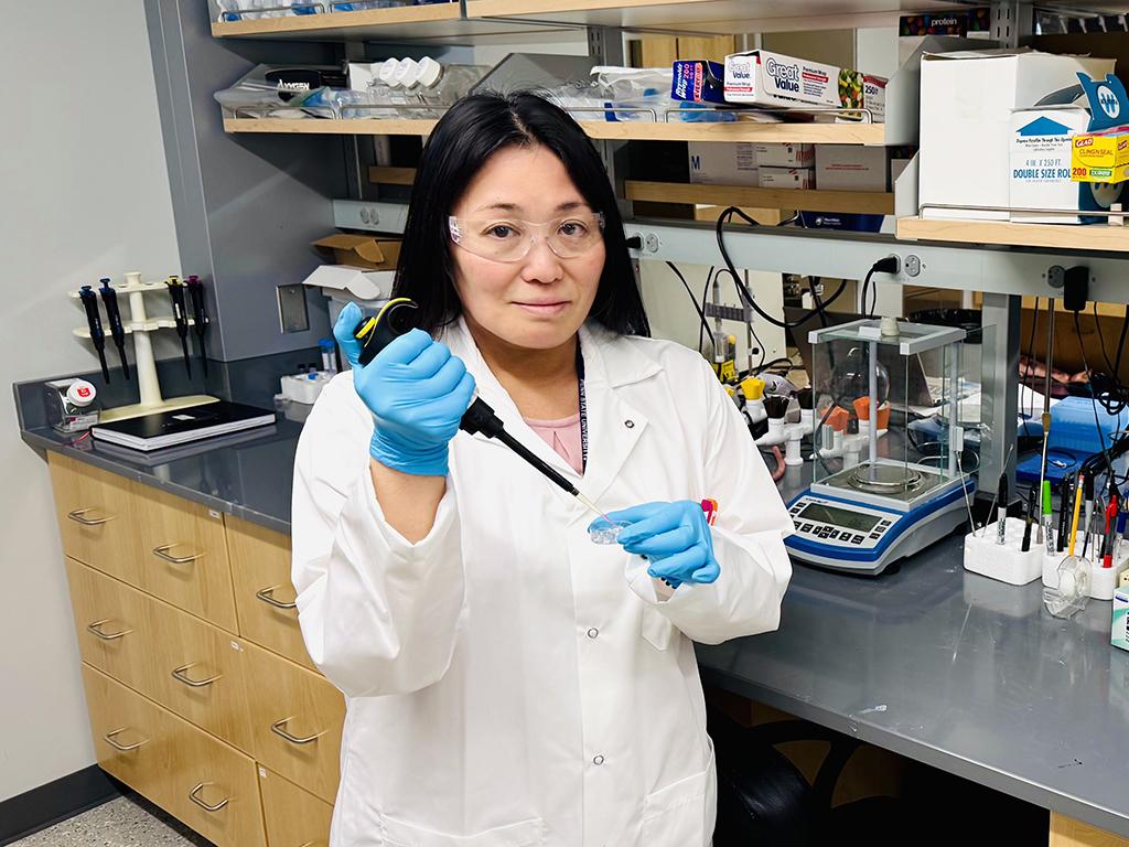 Urara Hasegawa, assistant professor at Penn State, in her lab 